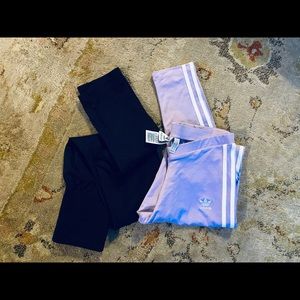 Nice Buns Bundle 😉